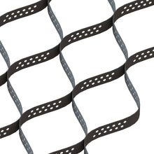 Load image into Gallery viewer, 2-Inch Geo Ground Grid