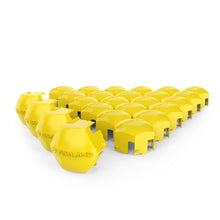Load image into Gallery viewer, HexPave Paver Markers (25 Pack)