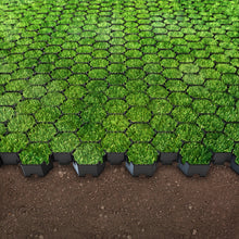 Charger l'image dans la galerie, HEXpave plastic permeable paving grid