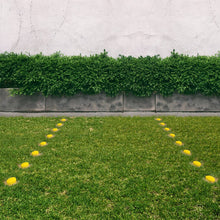 Charger l'image dans la galerie, EasySpots Paver Marker Yellow (25 Pack)