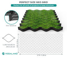 Load image into Gallery viewer, 4-Inch Geo Ground Grid