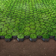 Load image into Gallery viewer, HEXpave plastic permeable paving grid
